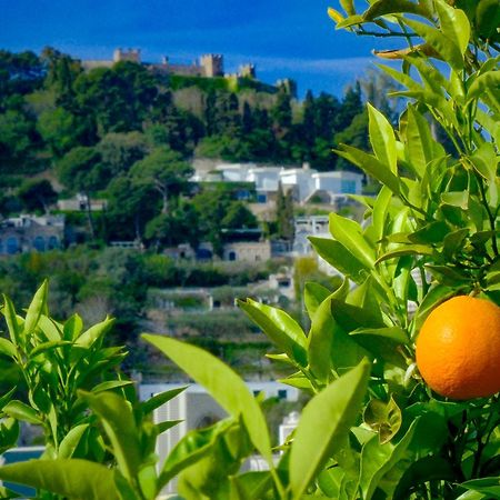 Villa Dorothee Κάπρι Εξωτερικό φωτογραφία