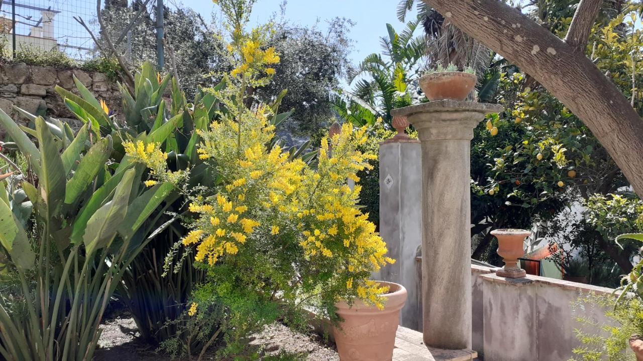 Villa Dorothee Κάπρι Εξωτερικό φωτογραφία