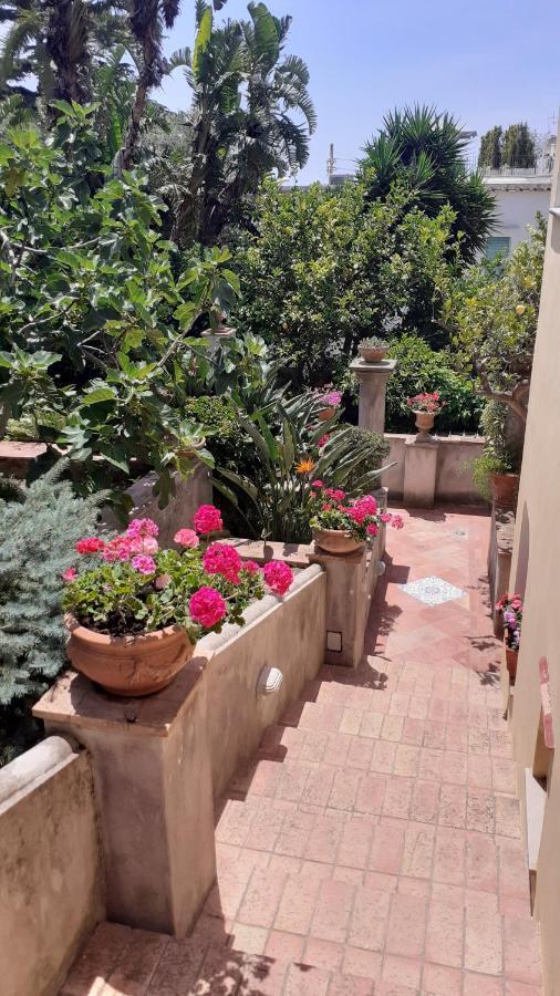 Villa Dorothee Κάπρι Εξωτερικό φωτογραφία