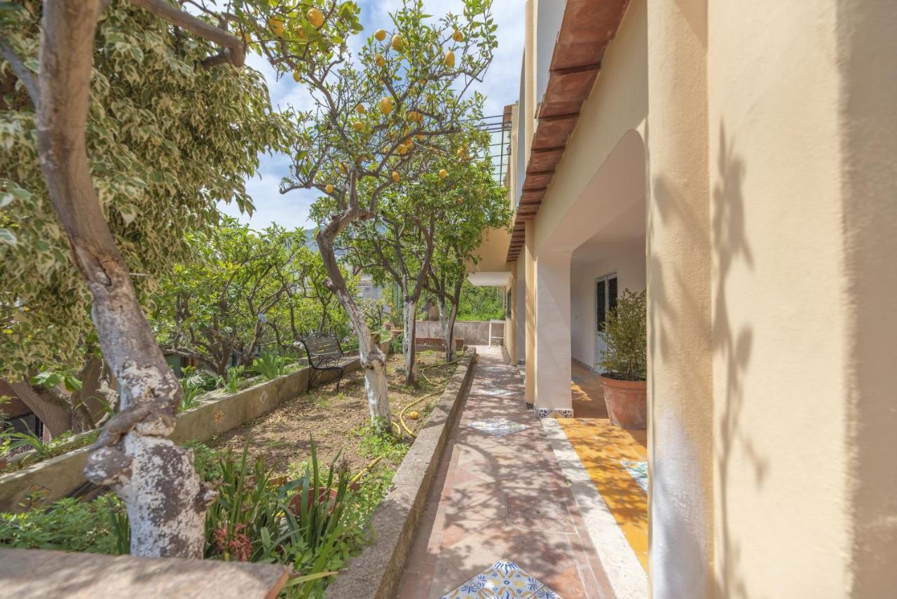 Villa Dorothee Κάπρι Εξωτερικό φωτογραφία