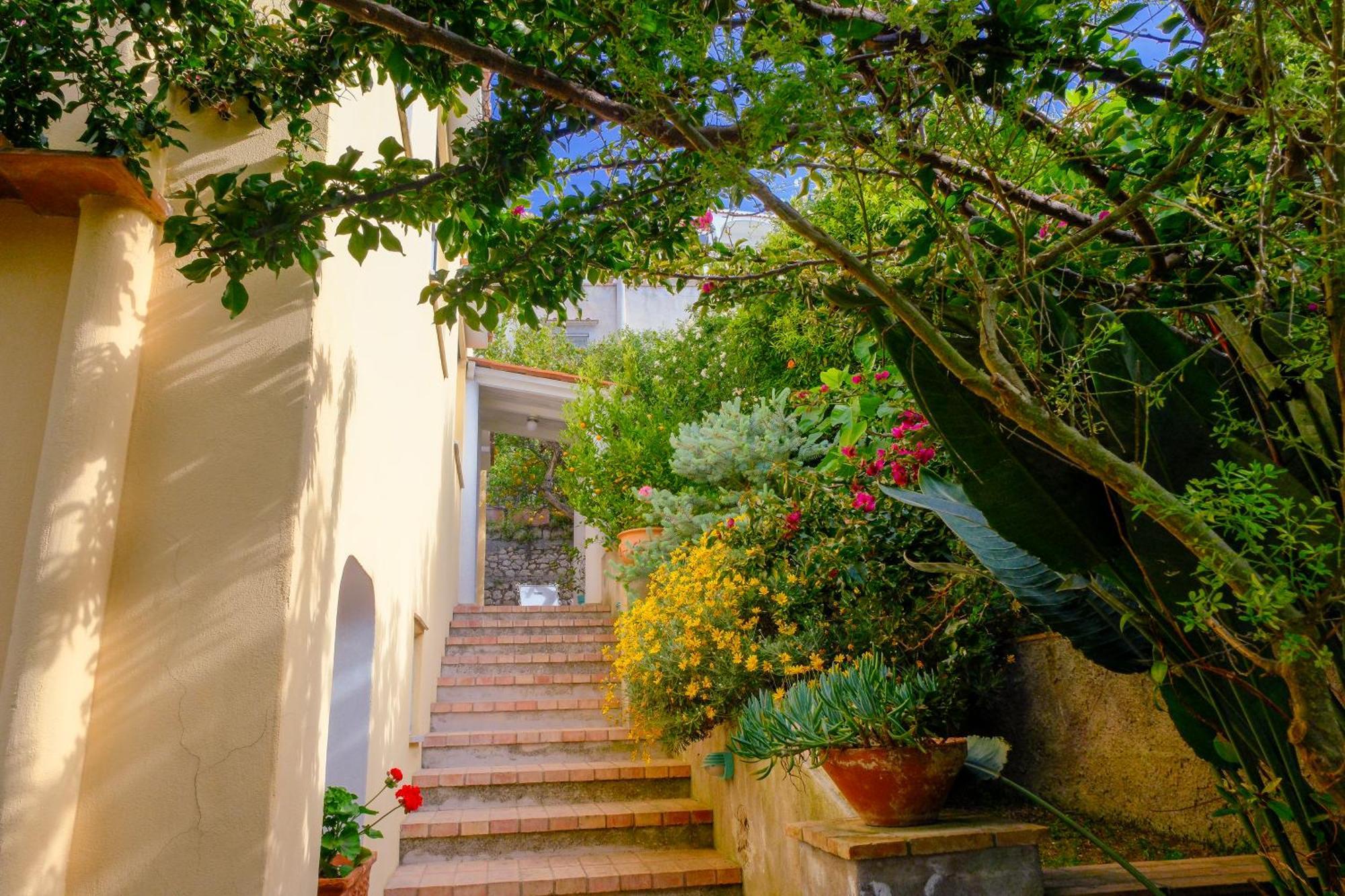 Villa Dorothee Κάπρι Εξωτερικό φωτογραφία