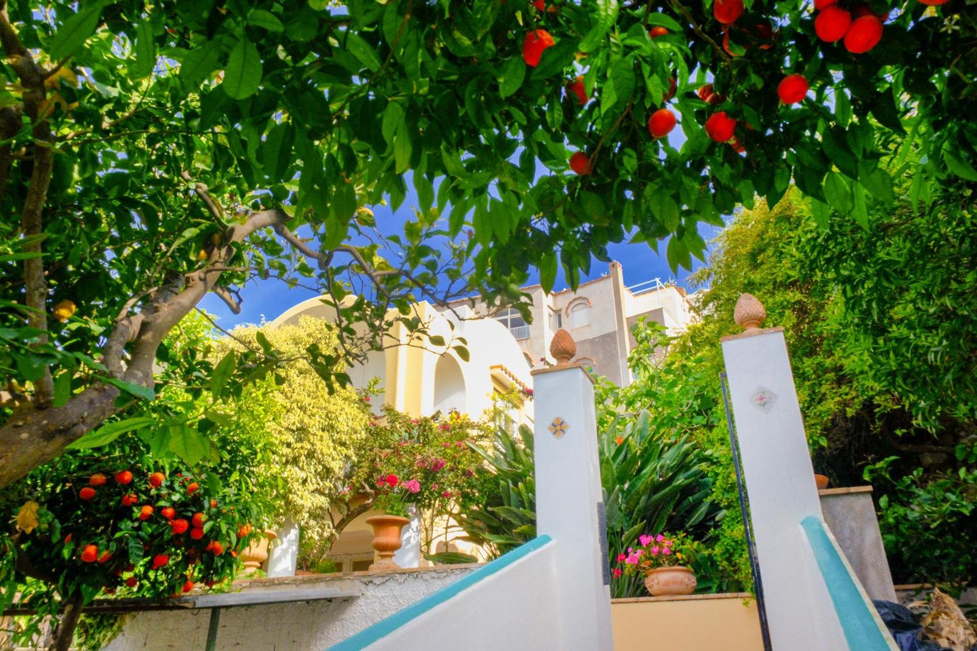 Villa Dorothee Κάπρι Εξωτερικό φωτογραφία