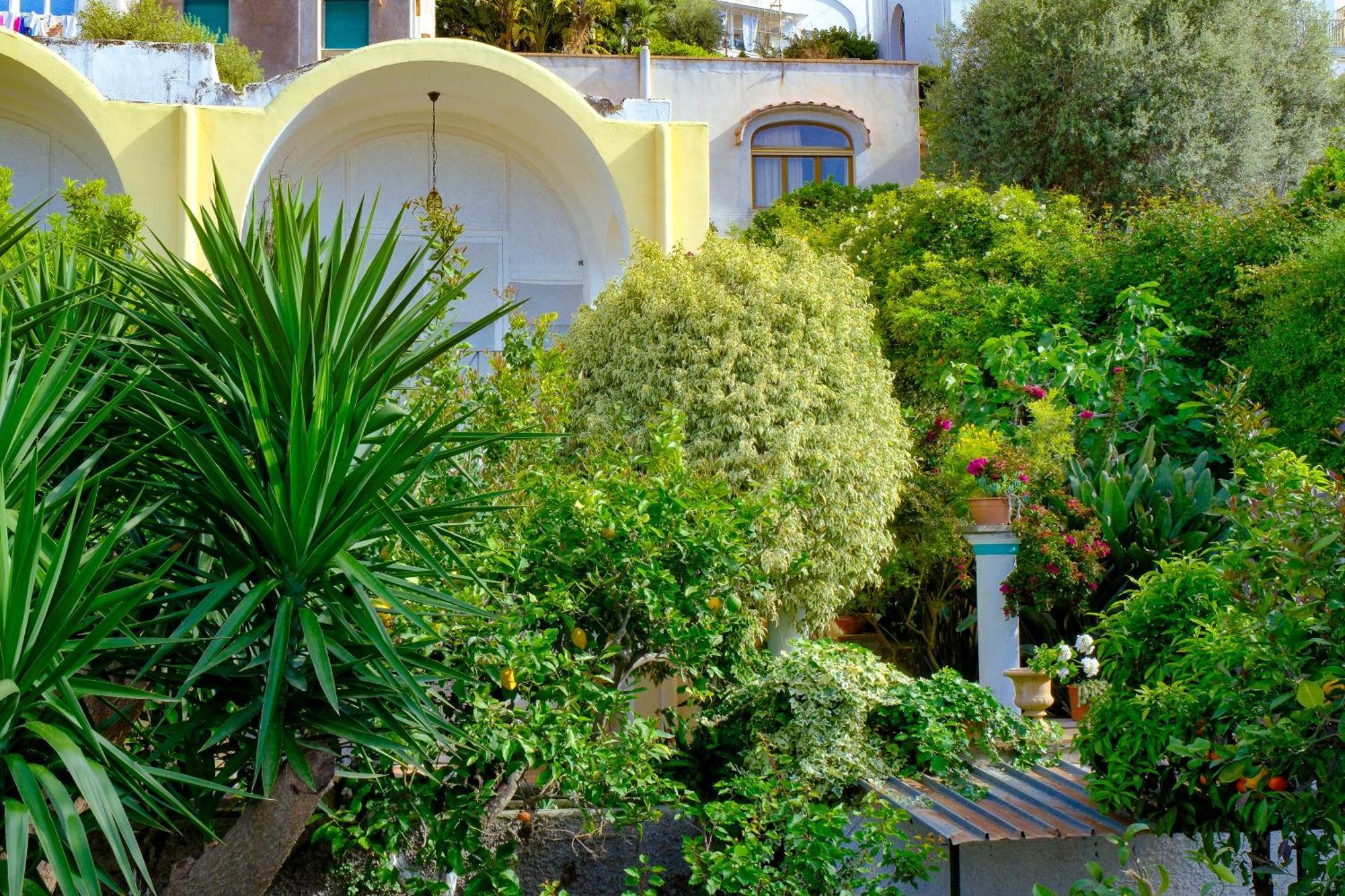 Villa Dorothee Κάπρι Εξωτερικό φωτογραφία