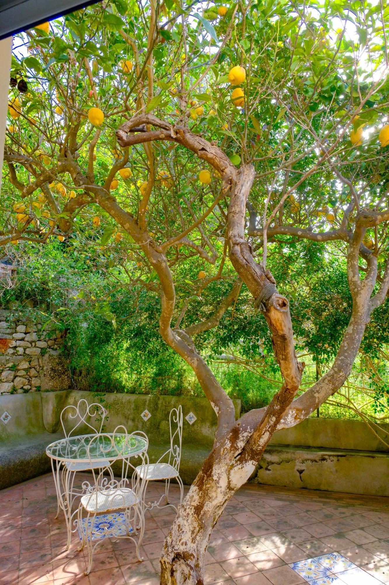 Villa Dorothee Κάπρι Εξωτερικό φωτογραφία