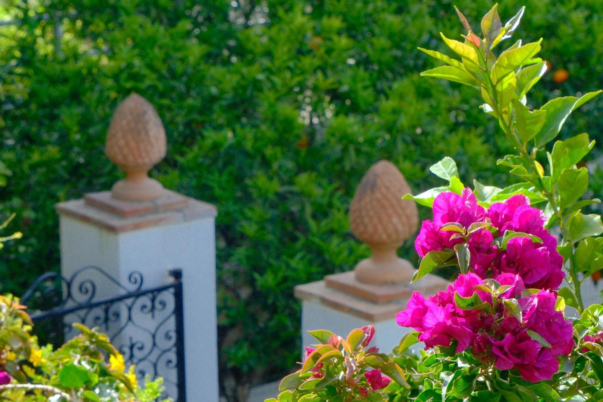 Villa Dorothee Κάπρι Εξωτερικό φωτογραφία