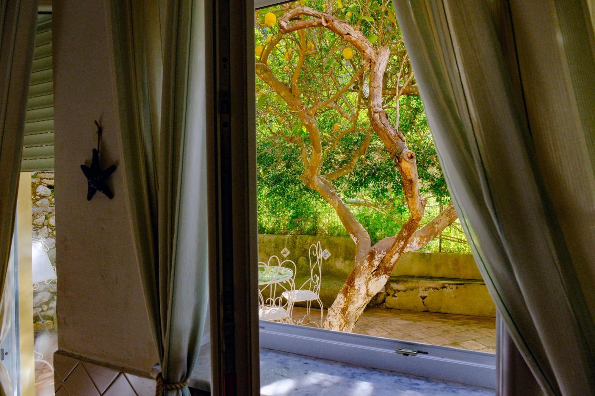 Villa Dorothee Κάπρι Δωμάτιο φωτογραφία